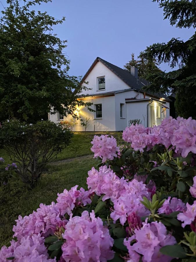 Gemuetliches Ferienhaus 施普伦贝格 外观 照片